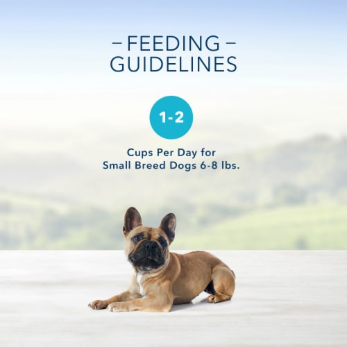 Blue Buffalo Delights Bacon Egg & Cheese Pate Small Breed Natural Adult Wet Dog Food Perspective: left