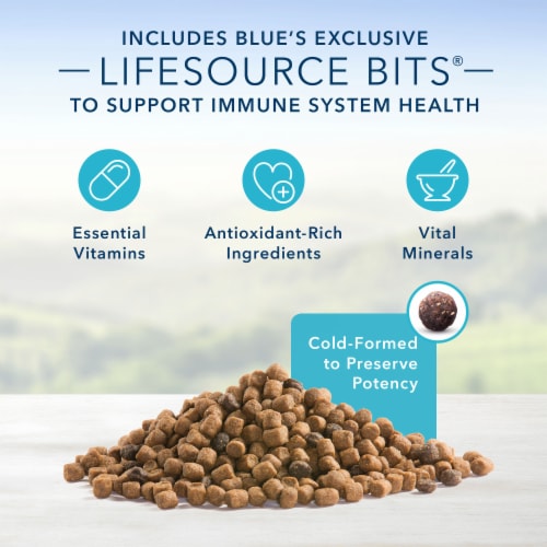 Blue Buffalo Healthy Living Natural Adult Dry Cat Food, Chicken & Brown Rice Perspective: left