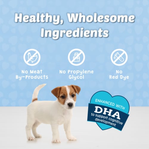 Blue Buffalo Bits Natural Soft Moist Training Dog Treats Perspective: left