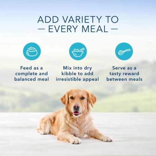 Blue Buffalo Homestyle Recipe Natural Chicken & Beef Adult Wet Dog Food Variety Pack Perspective: left