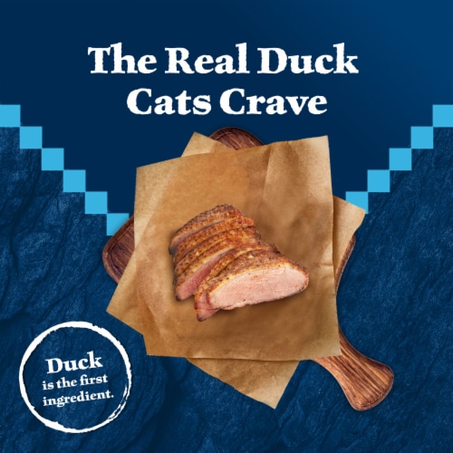 Blue Buffalo Wilderness High Protein Natural Duck Adult Dry Cat Food Perspective: left