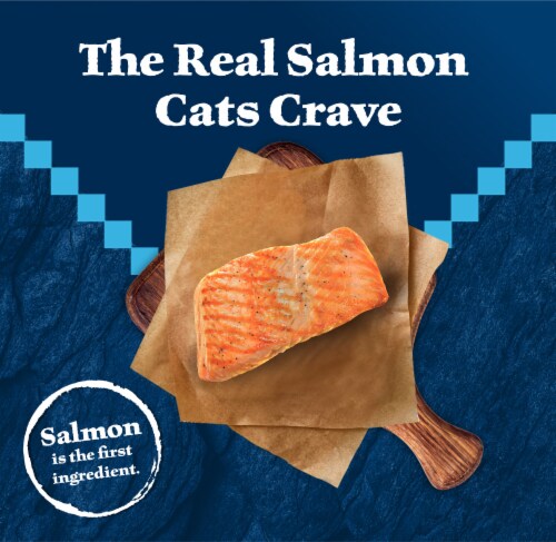 Blue Buffalo Wilderness High-Protein Grain-Free Adult Dry Cat Food Salmon Perspective: left