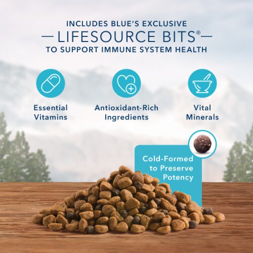 Blue Buffalo Wilderness High Protein Natural Chicken Puppy Dry Dog Food Perspective: left