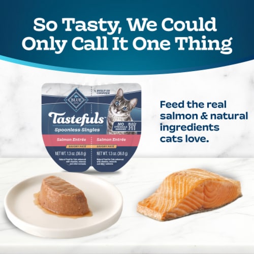 Blue Buffalo Tastefuls Spoonless Singles Salmon Entrée Adult Pate Wet Cat Food Perspective: left