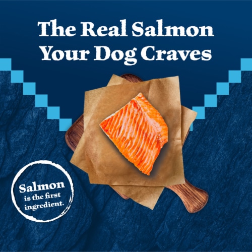 Blue Buffalo Wilderness High Protein Natural Adult Dry Dog Food Salmon Perspective: left