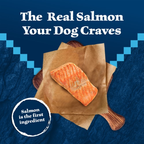 Blue Buffalo Wilderness High Protein Natural Adult Dry Dog Food Salmon & Wholesome Grains Perspective: left