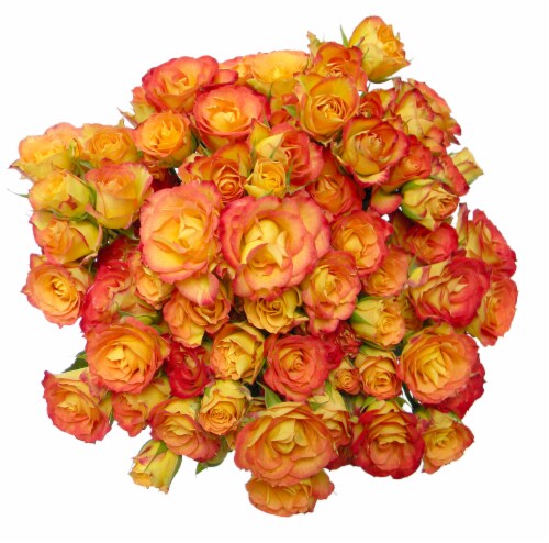 Big Bunch Spray Rose Perspective: left