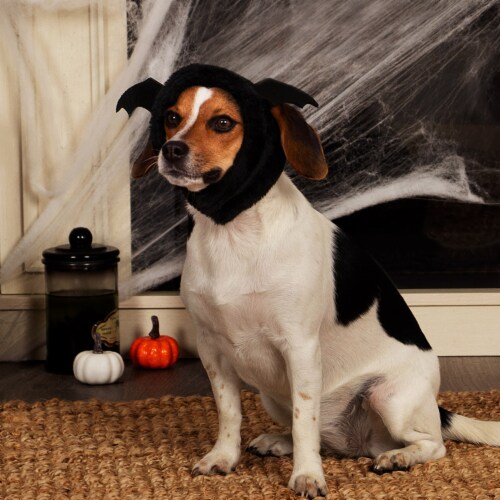 FurHaven Flex-Fit Pet Costume Hat - Black Bat, XS-S Perspective: left