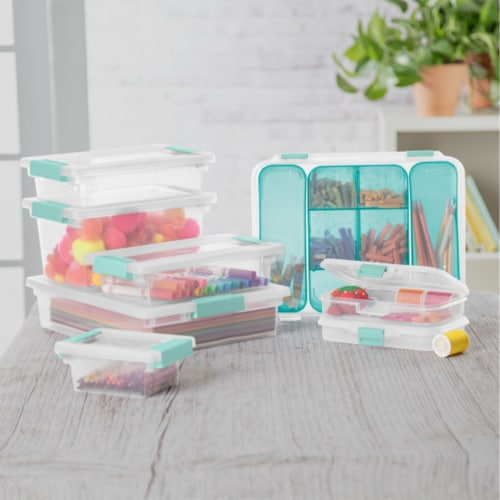 Plastic Storage Boxes, Small Clear Box with Grey Lid 