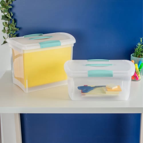 Clear Storage Box with Latched Lid, Large