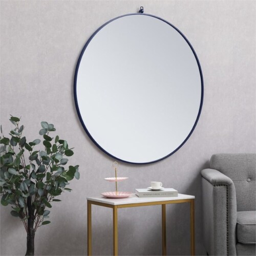 Elegant Decor Eternity 42  Mid Century Metal Frame Hooked Mirror in Blue Perspective: left