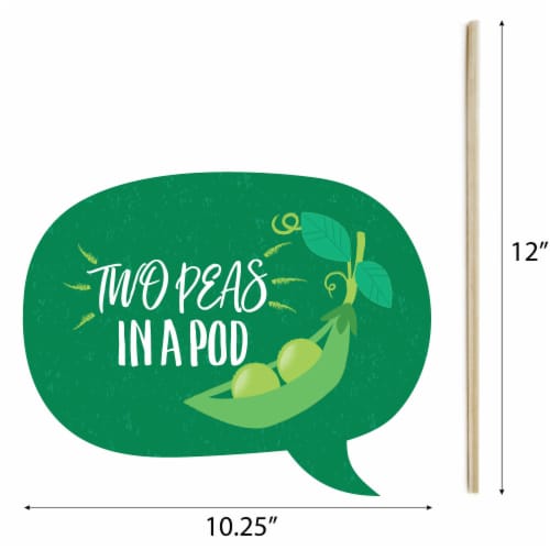 Big Dot of Happiness Double the Fun - Twins Two Peas in a Pod - Photo Booth Props Kit - 20 Ct Perspective: left
