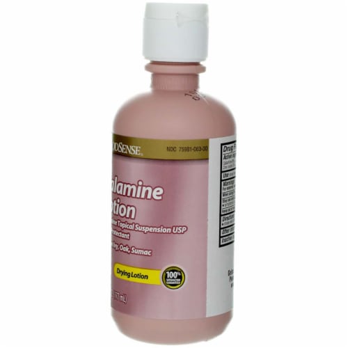 GoodSense Calamine Lotion, 6 fl oz Perspective: left