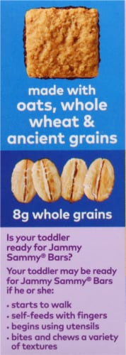 Plum Organics® Jammy Sammy® Blueberry and Oatmeal Baby Food Snack Bars Perspective: left