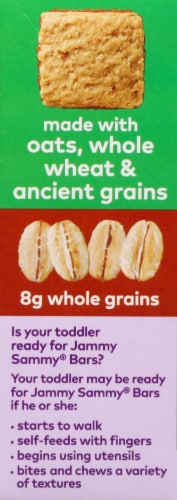 Plum® Organics Jammy Sammy® Snack Size Apple Kale & Oatmeal Sandwich Bars Perspective: left
