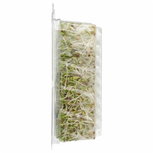Wild About Sprouts® Tangy Clover & Broccoli Perspective: left