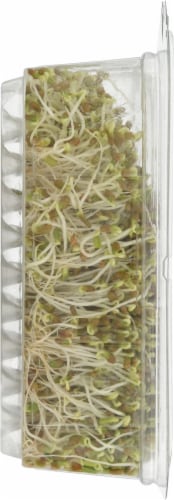 Wild About Sprouts® Clover Perspective: left