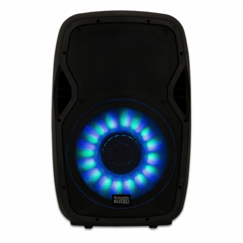 Speaker acoustic 15 sales inch