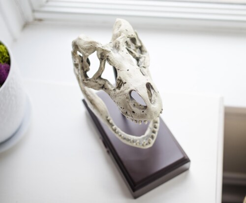Jurassic World 9x8 Inch Tyrannosaurus Rex Skull Resin Replica Perspective: left