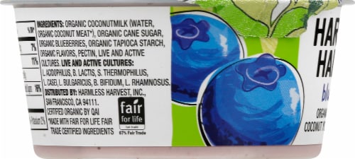 Harmless Harvest Blueberry Organic Dairy Free Coconut Yogurt Cup Perspective: left