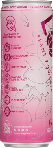 Lotus Plant Power Drink - Pink Lotus Perspective: left