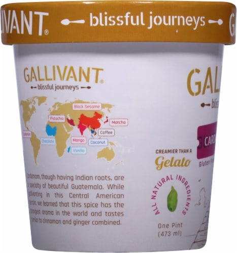 Gallivant® Guatemalan Cardamom Mawa Ice Cream 16 oz Perspective: left