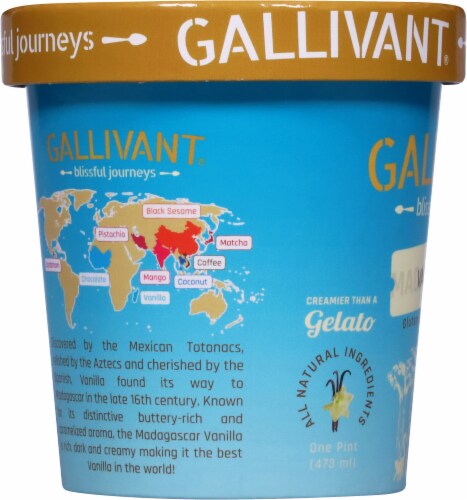 Gallivant® Madagascar Vanilla Mawa Ice Cream 16 oz Perspective: left