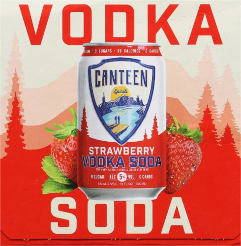 Canteen Spirits Strawberry Vodka Soda Ready to Drink Cocktail Perspective: left