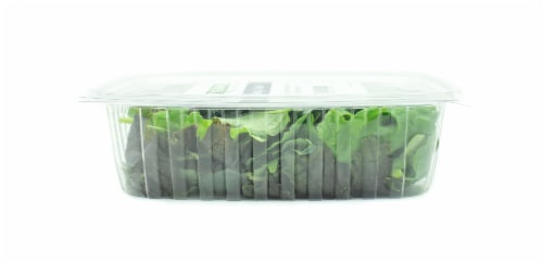 CityFarms Alaska Baby Kale Perspective: left