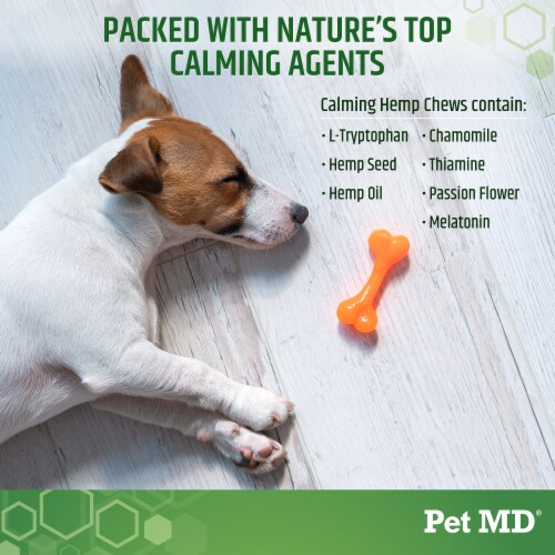 Thiamine for dogs clearance