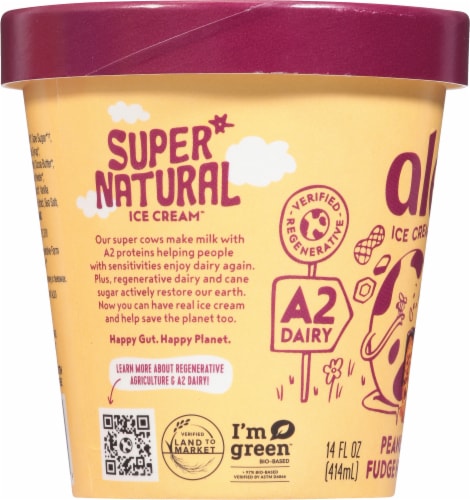Alec's® Organic Peanut Butter Fudge Honeycomb Ice Cream Perspective: left