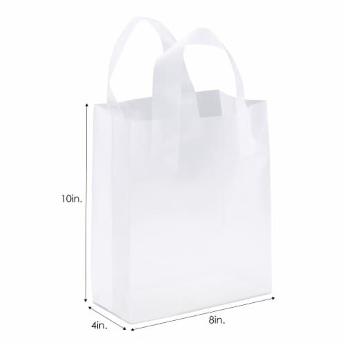 Small Flat Clear Frosted Plastic Bags (1,000 pcs.)