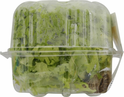 Kalera Living Hydroponic Frisee Lettuce Perspective: left