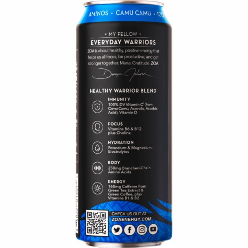 ZOA Zero Sugar Original Energy Drink, 16 fl oz - Metro Market