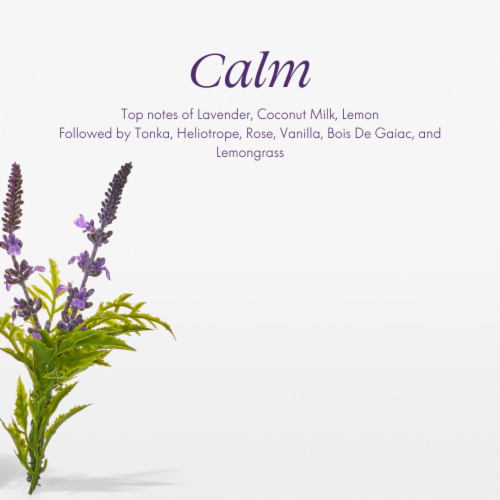 Safely™ Calm Universal Cleaner Perspective: left
