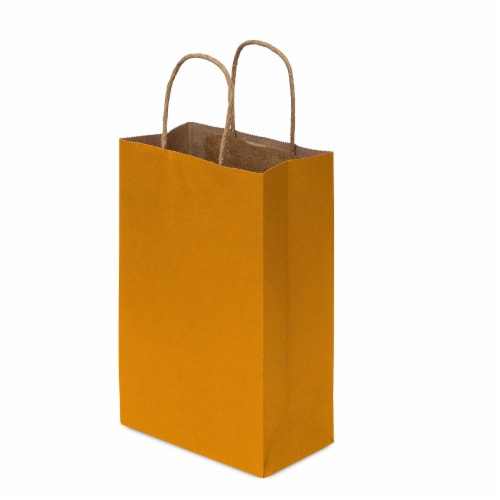 Prime Line Packaging Colored Kraft Paper Bags with Handles Retail Gift Bags Bulk 50 Pcs 6x3x9 Perspective: left