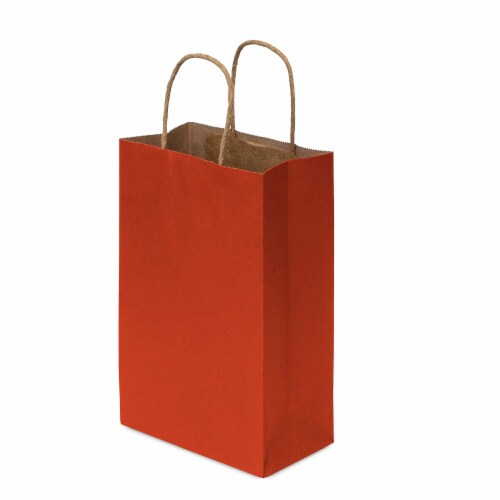 Prime Line Packaging Colored Kraft Paper Bags with Handles Gift Bags Retail  Bulk 50 Pcs 6x3x9, 50 Pcs - Harris Teeter