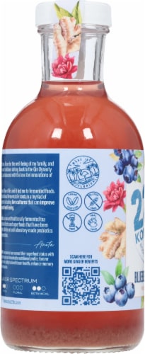 Kombucha 221 B.C.® Blueberry + Ginger Kombucha Perspective: left