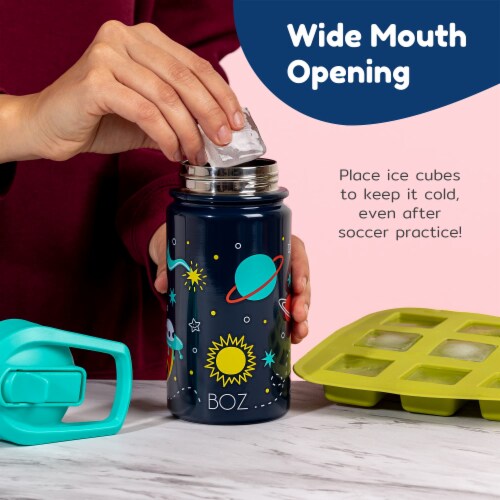 BOZ Kids Insulated Water Bottle with Straw Lid, Stainless Steel Vacuum (Dinosaur) Perspective: left