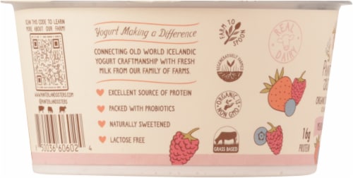 Painterland Sisters™ Meadow Berry 6% Milkfat Organic Skyr Yogurt Cup Perspective: left