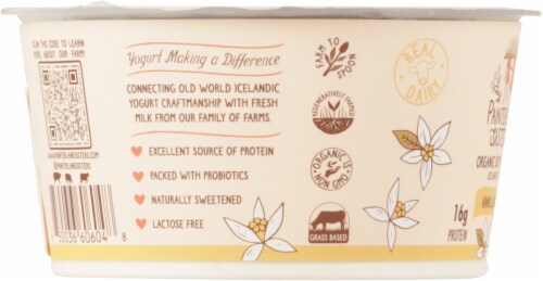 Painterland Sisters™ Vanilla Organic 6% Milkfat Skyr Yogurt Cup Perspective: left