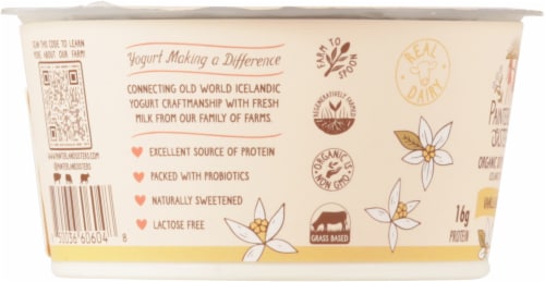 Painterland Sisters™ Vanilla Organic 6% Milkfat Skyr Yogurt Cup Perspective: left