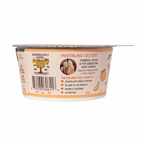 Painterland Sisters™ Peach Organic Skyr Yogurt Cup Perspective: left