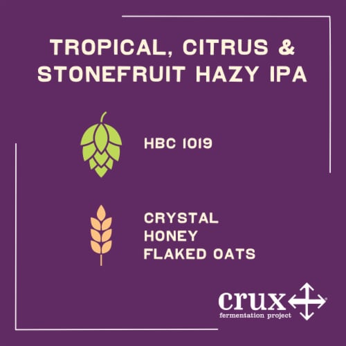 Crux Fermentation Project Half a Brain Hazy IPA Craft Beer Perspective: left