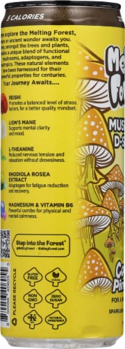 Melting Forest™ Mushroom D-Stress Coconut Pineapple Sparkling Adaptogenic Drink Perspective: left