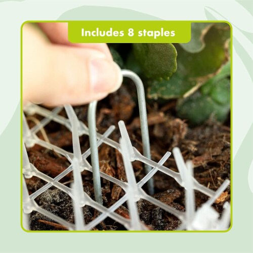 Homarden garden cat deals scat mat