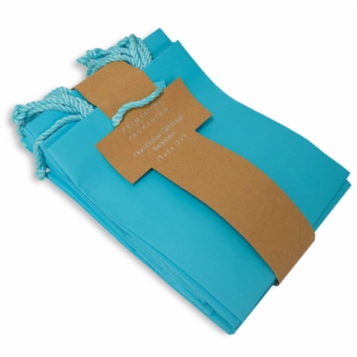 Occasionall Large Turquoise Paper Gift Wrap Bags With Handles Solid Colors Gift 12 Pk 10x5x13 Perspective: left