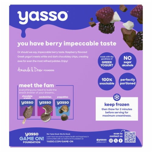 Yasso Black Raspberry Chip Frozen Greek Yogurt Bars Perspective: left