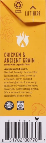 Kettle & Fire Chicken & Ancient Grains Hearty Soup Perspective: left