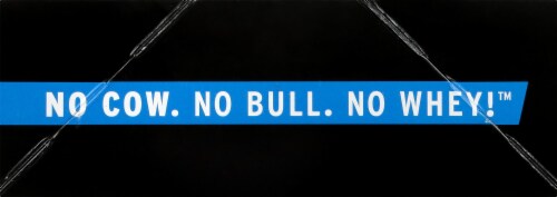 no cow Chocolate Sea Salt Energy Bars Perspective: left